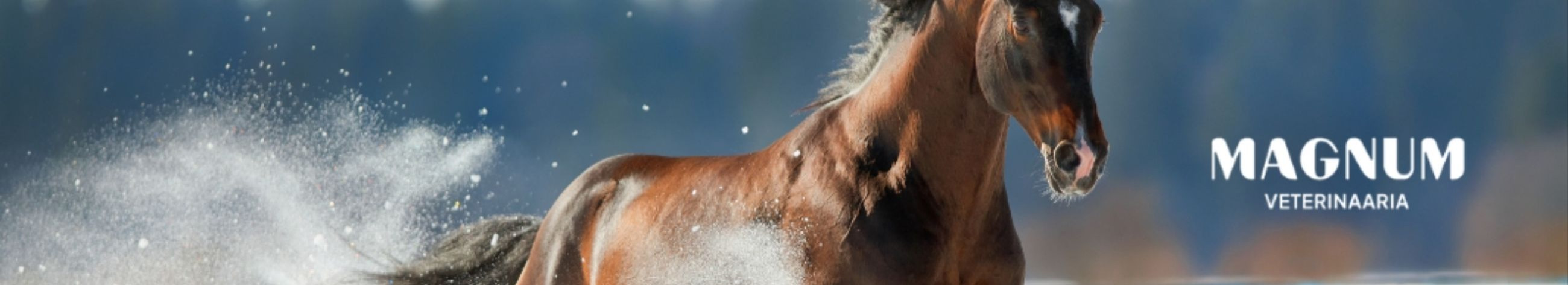 Website catalogue of veterinary medicinal products, diagnostics, food supplements and care products. Simplifies ordering for clinics, farms and pet keepers.