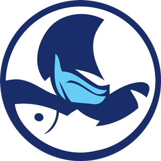DGM SHIPPING AS logo