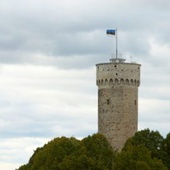 LABUS FT OÜ - Bookkeeping, tax consulting in Tallinn