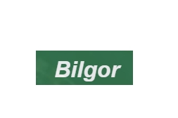 BILGOR OÜ logo