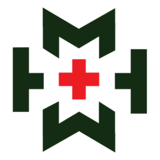 SEMETRON AS logo