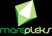 MAREPLEKS OÜ - Manufacture of insulating glass and other building material of glass in Elva