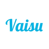 VAISU OÜ - Other specialised construction activities in Tallinn