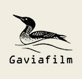 GAVIAFILM OÜ - Other retail sale not in stores, stalls or markets in Estonia