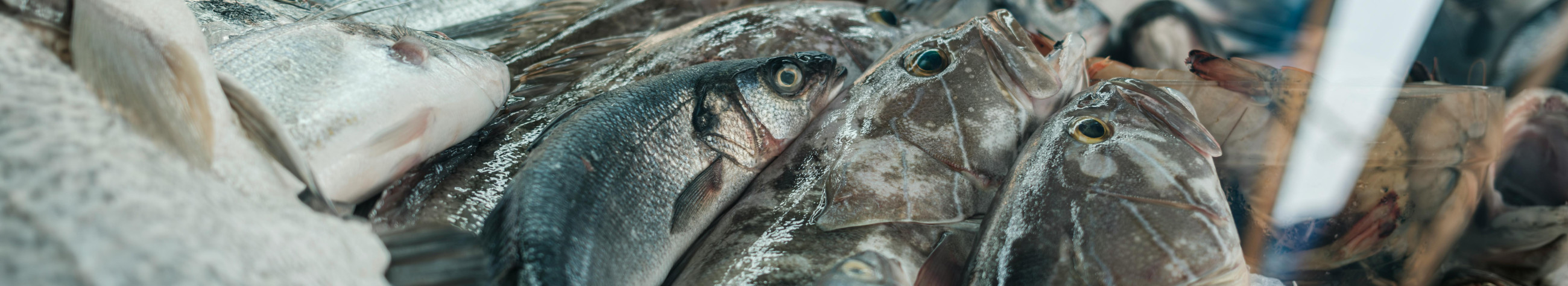 We offer fresh and different forms of fish and seafood for home cooking. Buy comfortably from the shop or Tallinn marketplaces.