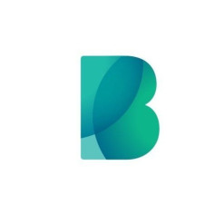 BIGBANK AS logo