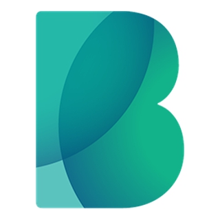 BIGBANK AS logo