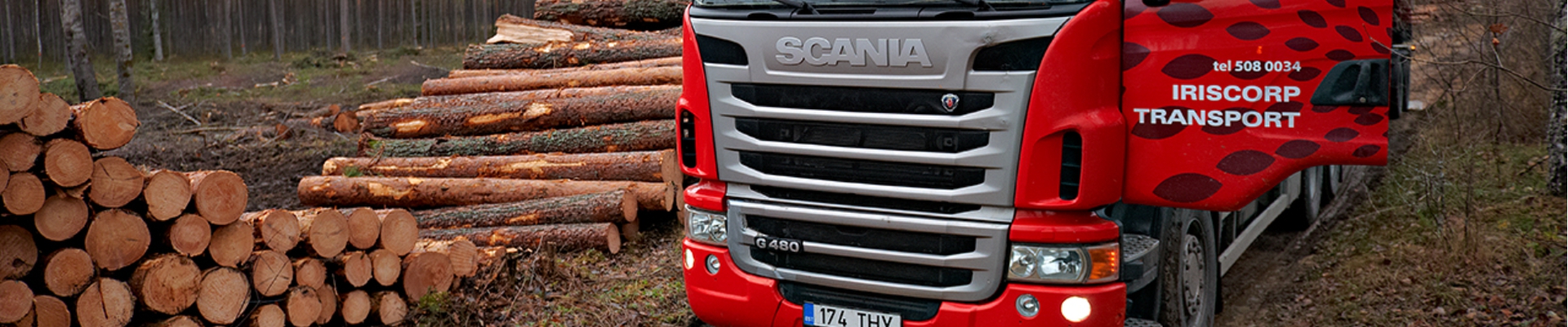 Transport of timber, right to cut growing forest, purchase and sale of timber, purchase of forest properties, logging, carriage of firewood, forest transport service, scania trucks, Exports of timber, Wood and Paper Industry