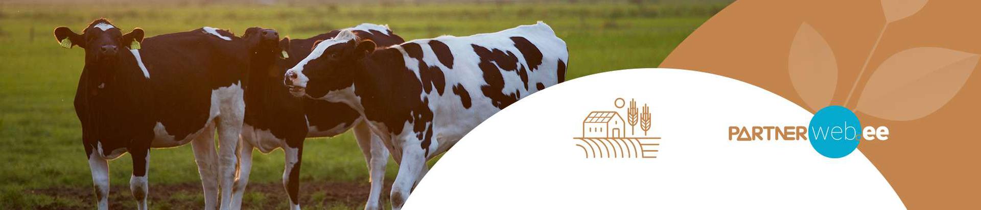 Suurim mainega ettevõte TROVADOR OÜ, maineskoor 9000, aktiivseid äriseoseid 3. Tegutseb peamiselt valdkonnas: Piimakarjakasvatus.