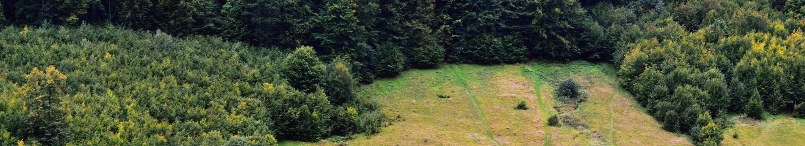 We help to buy and sell forest and agricultural land across Estonia. We offer free assessment and transaction support to make the process quick and clear.