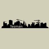 TESMAN OÜ - Construction of residential and non-residential buildings in Tallinn