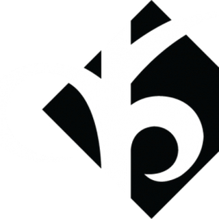RAMSI TURVAS AS logo