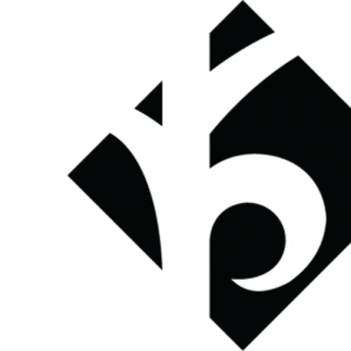 RAMSI TURVAS AS logo and brand