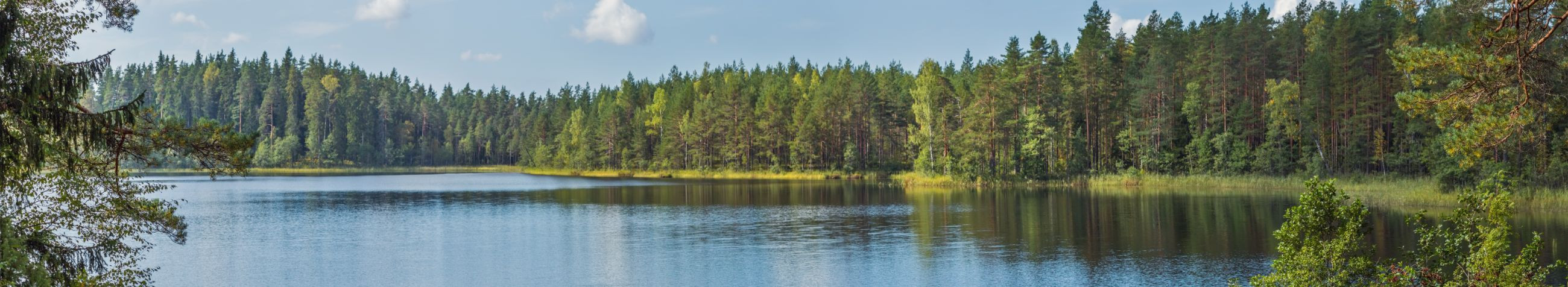 Eesti Keskkonnateenused AS on juhtiv jäätmekäitlus- ja kommunaalteenuseid pakkuv ettevõte, mis spetsialiseerub olmejäätmete kogumisele, ehitusjäätmete käitlemisele, taaskasutatavate jäätmete kokkuostule ning mitmetele muudele keskkonnahoidlikele teenustele.