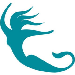 EMAJÕE DISAIN OÜ logo