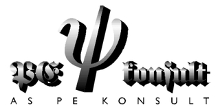 PE KONSULT OÜ logo