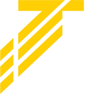 EESTI VILJASALV OÜ logo