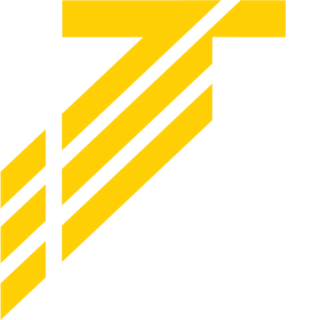 EESTI VILJASALV OÜ logo