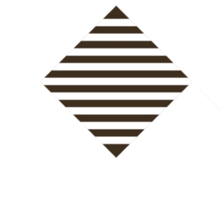 VIIDEST OÜ logo