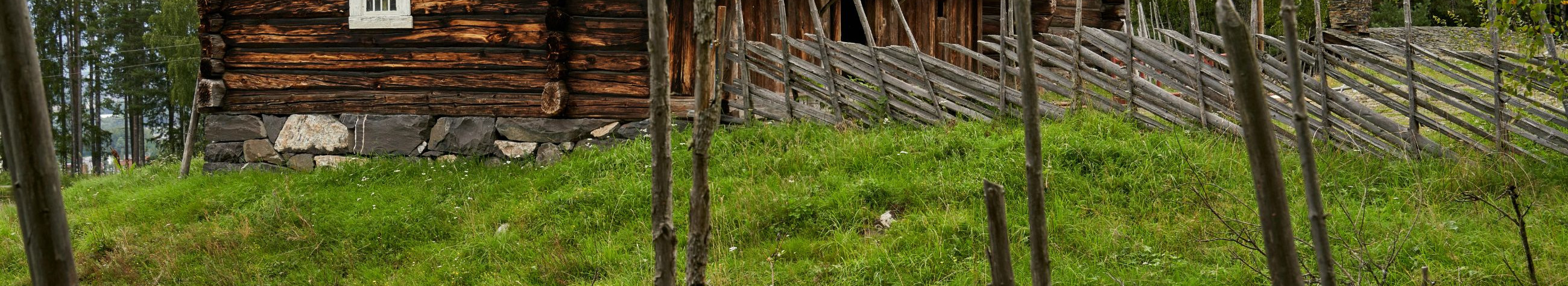 log houses, Rainbow roofs, Tinstone work, furnishings, Restoration, Handicraft houses, Logistics construction, Summer Houses, installation of cedar roofs, traditional roof