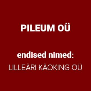PILEUM OÜ logo