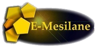 E- MESILANE OÜ logo