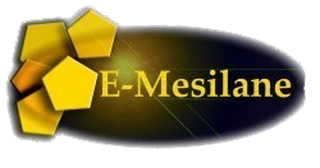 E- MESILANE OÜ logo