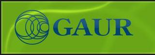 GAUR OÜ logo
