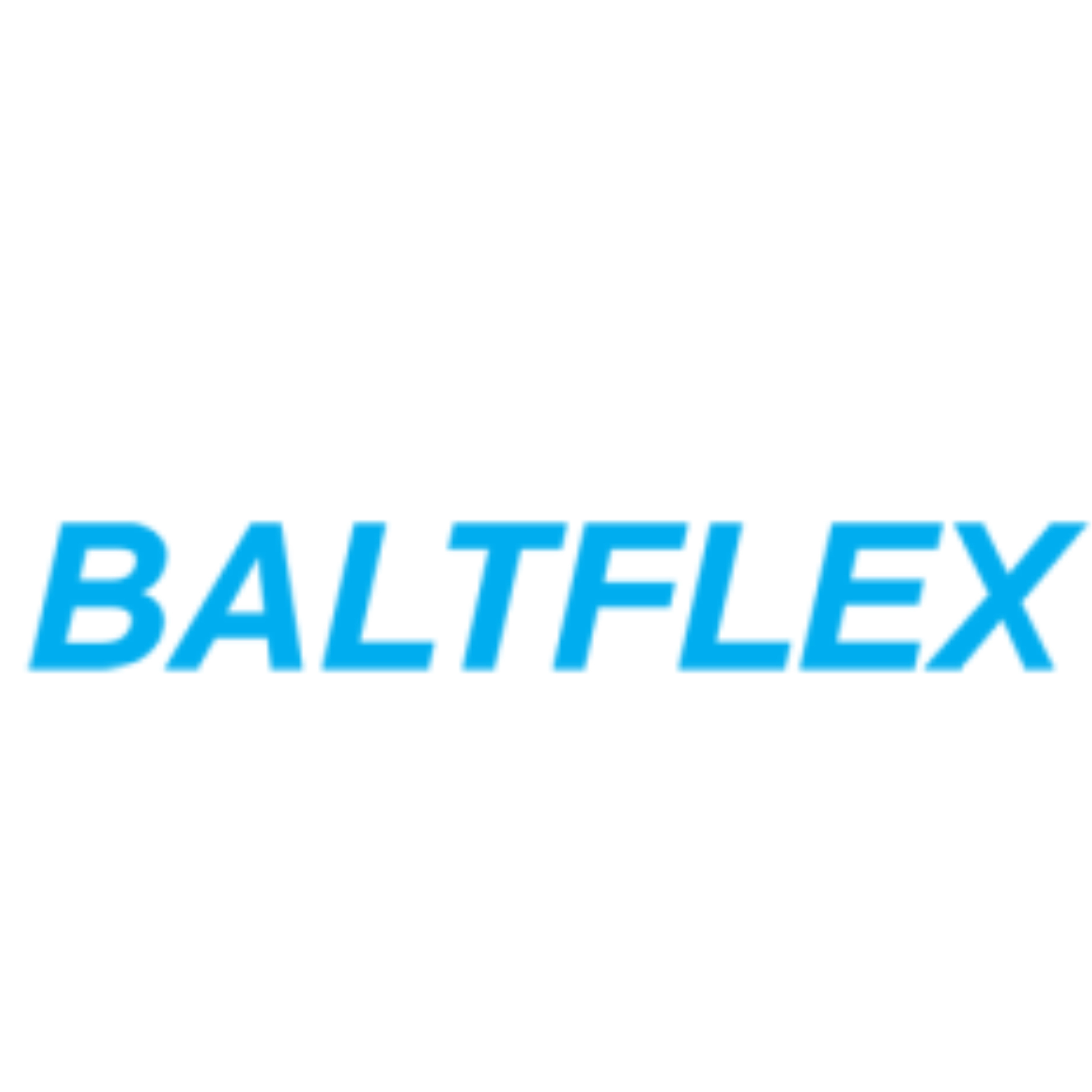 BALTFLEX AS logo