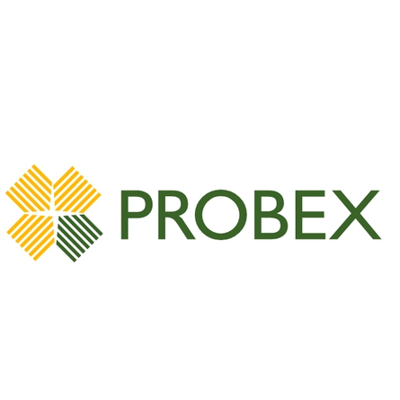 PROBEX OÜ - Wholesale of wood and products for the first-stage processing of wood in Tallinn