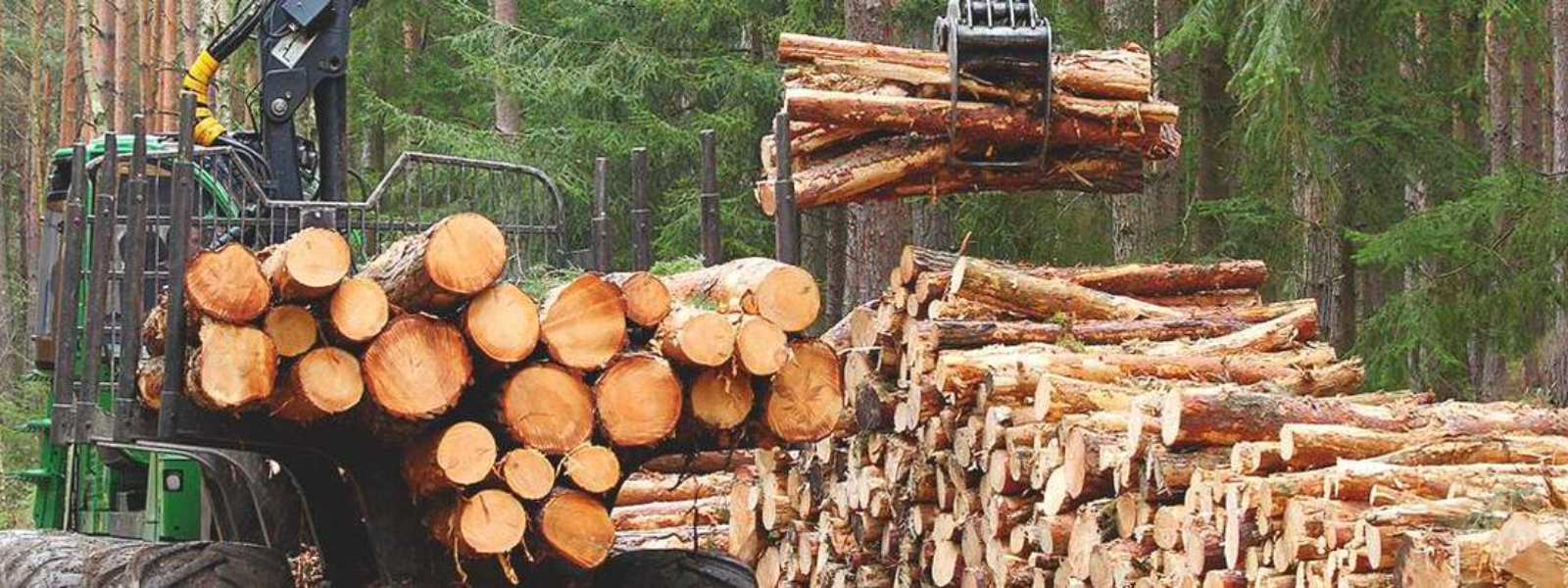Metsamajanduse abitegevused Türil