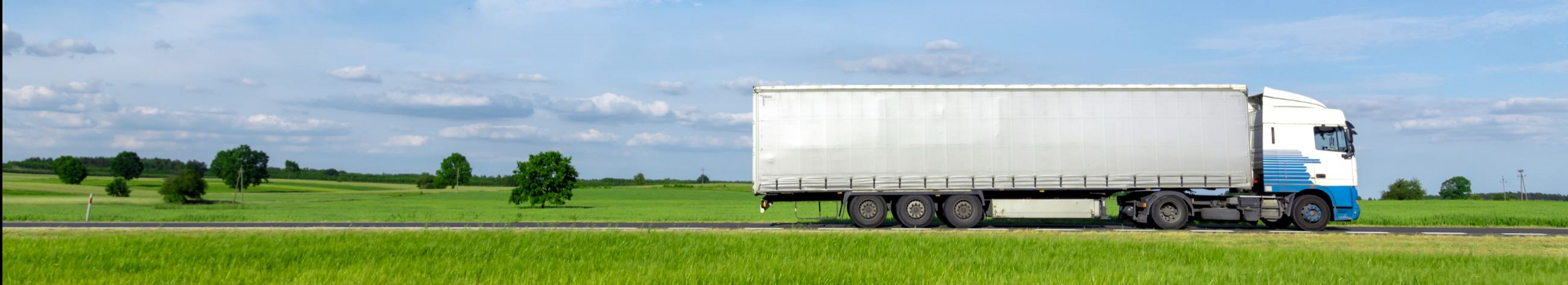 Pakume kvaliteetseid logistikateenuseid, sealhulgas ka tolliteenuste, ekspedeerimise ning kaubaveo lahendusi