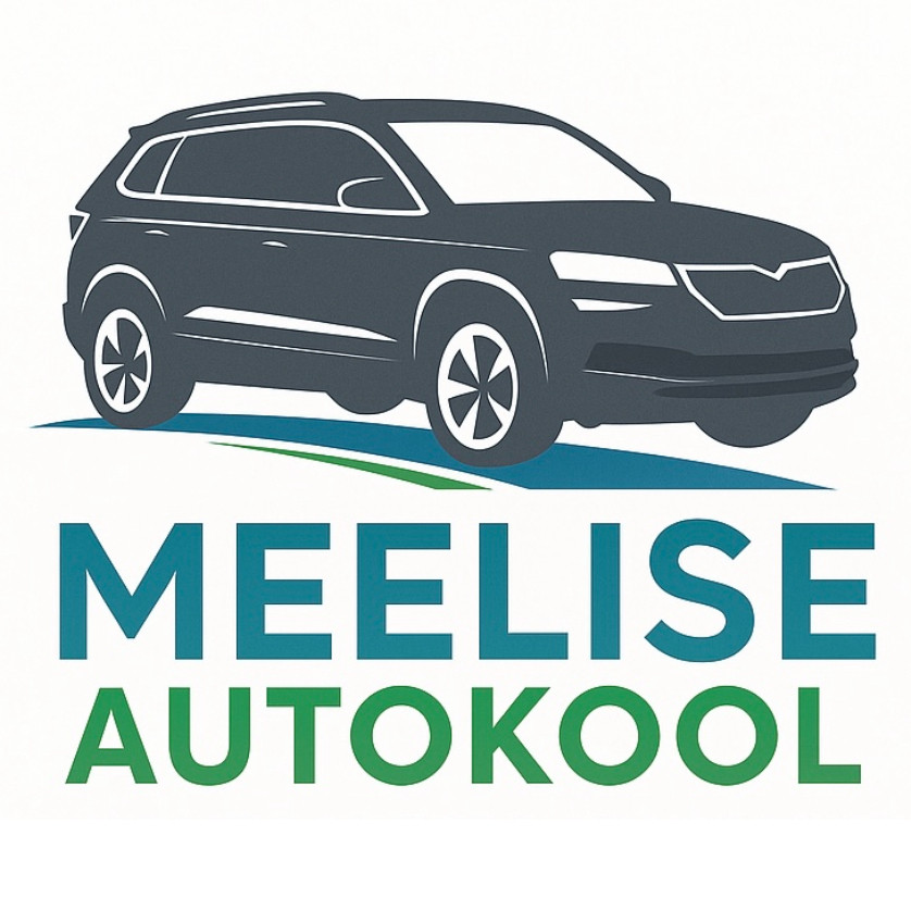 MEELISE AUTOKOOL OÜ logo