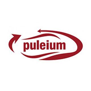 PULEIUM OÜ logo