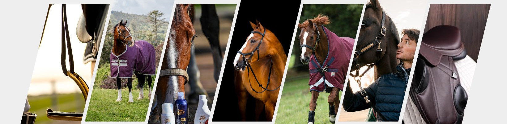 equestrian equipment, Races and castings, Horse equipment, insect protection, Maintenance equipment, Feed, feed additives, Buckets, the stables, saddles and saddle belts