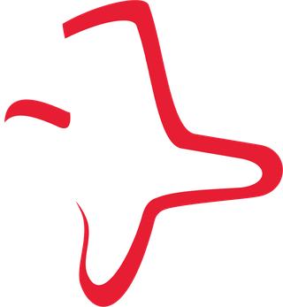 BDP EESTI OÜ logo