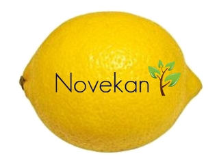 NOVEKAN-PT OÜ logo