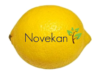 NOVEKAN-PT OÜ logo