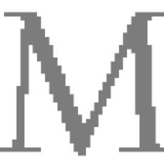 MAGINOX OÜ logo