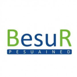 BESUR OÜ - Manufacture of soap and detergents, cleaning and polishing preparations in Tallinn