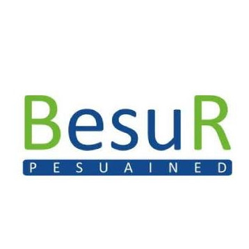BESUR OÜ logo