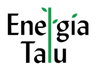 AIVAR SIIMU ENERGIA TALU FIE logo