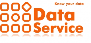 DATA SERVICE OÜ logo
