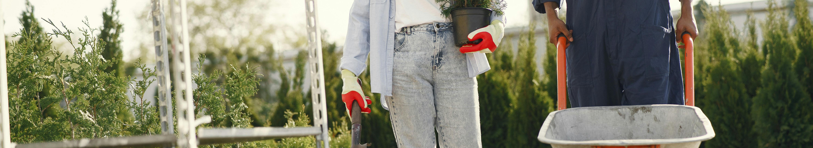 aiakujundus, haljasalad, hooldus, mänguväljakud, Looduskivi, aed, Õueala, Kujundus, aastaringne, hooldustööd