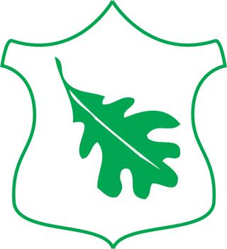 SAARTE METSAMAJANDUSE OÜ logo