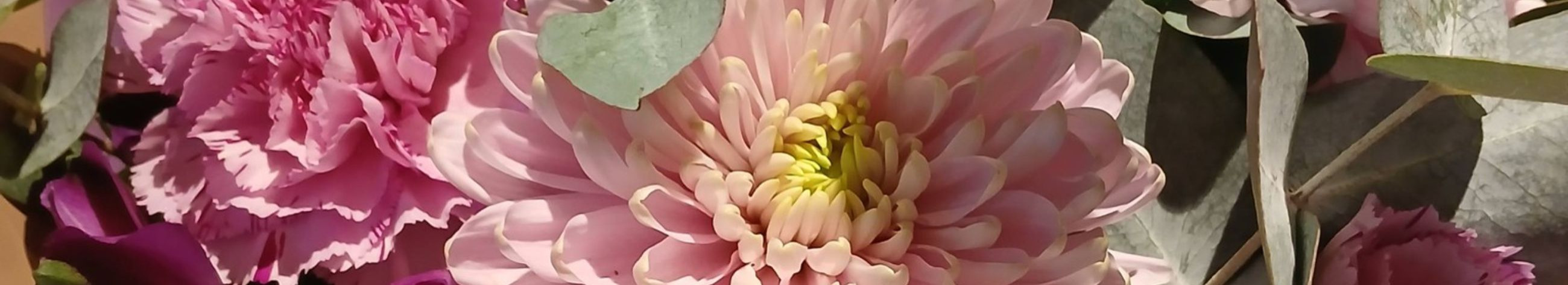 Meie eesmärk on luua kauni ja meeldejääva kujundusega tooted, mis täidavad sinu elu ilu, armastuse ja eriliste hetkedega. Pakume mitmekesist valikut ning võimalust tellida meie tooteid mugavalt siit veebilehelt või külastada meie poodi kohapeal.