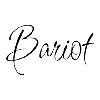 BARIOT GROUP OÜ logo