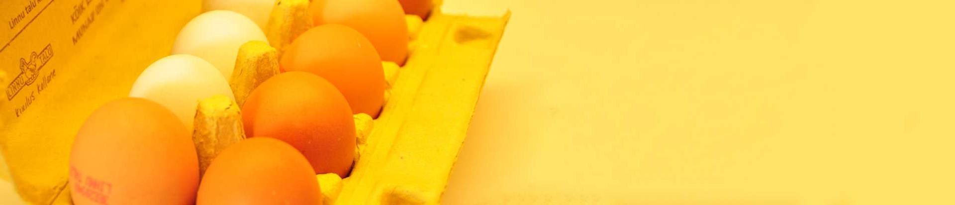 Teada on, et inimesed söövad silmadega. Meie talu kanade munad on kuulsad eriti kauni kollase rebu poolest, tänu millele annavad meie munad ilusa kollaka värvitooni nii küpsetistele kui ka toitudele.