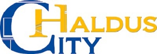 CityHaldus OÜ logo and brand