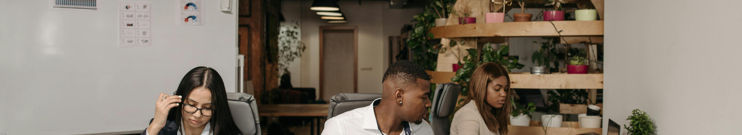 We offer accounting services and produce locking systems, door shoe and metal products. We help keep the records in order and provide robust solutions for safety and comfort.